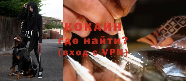 дживик Навашино