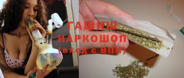 шишки Белая Холуница