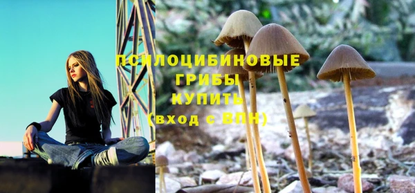 прущий лед Нея