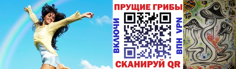 закладка  Кулебаки  Псилоцибиновые грибы Psilocybe 