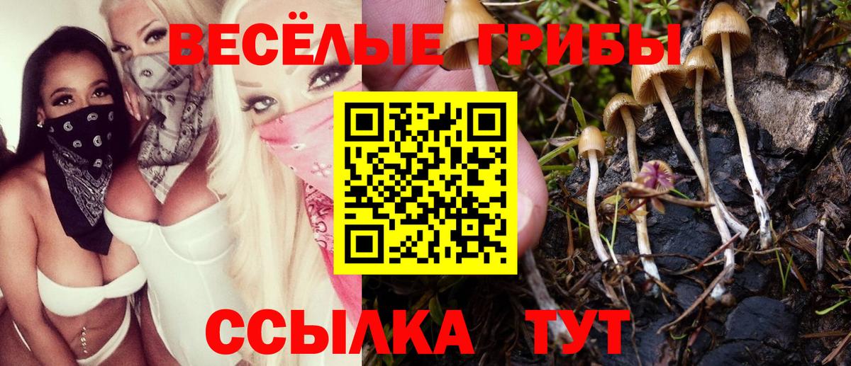 Псилоцибиновые грибы мухоморы  Вход с VPN  Кулебаки 