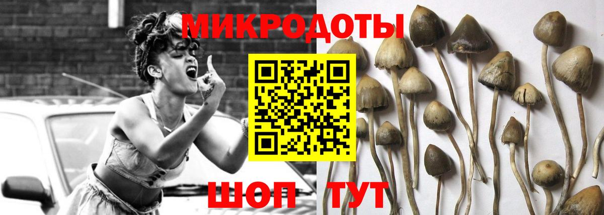 Псилоцибиновые грибы MAGIC MUSHROOMS Кулебаки